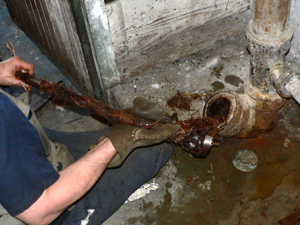 How to tell you have a clogged sewer line